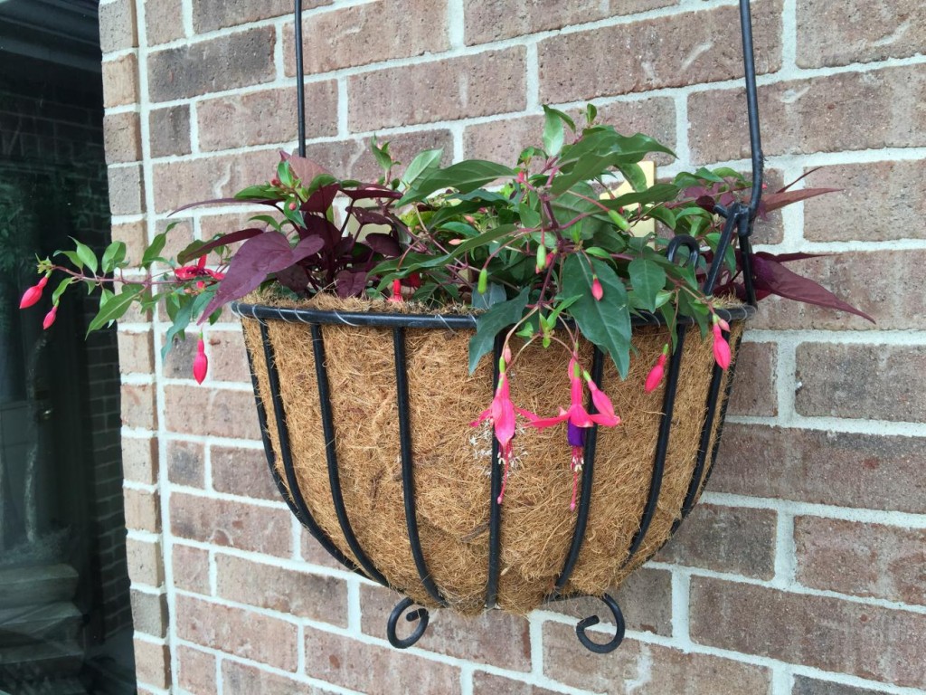 hanging flowers