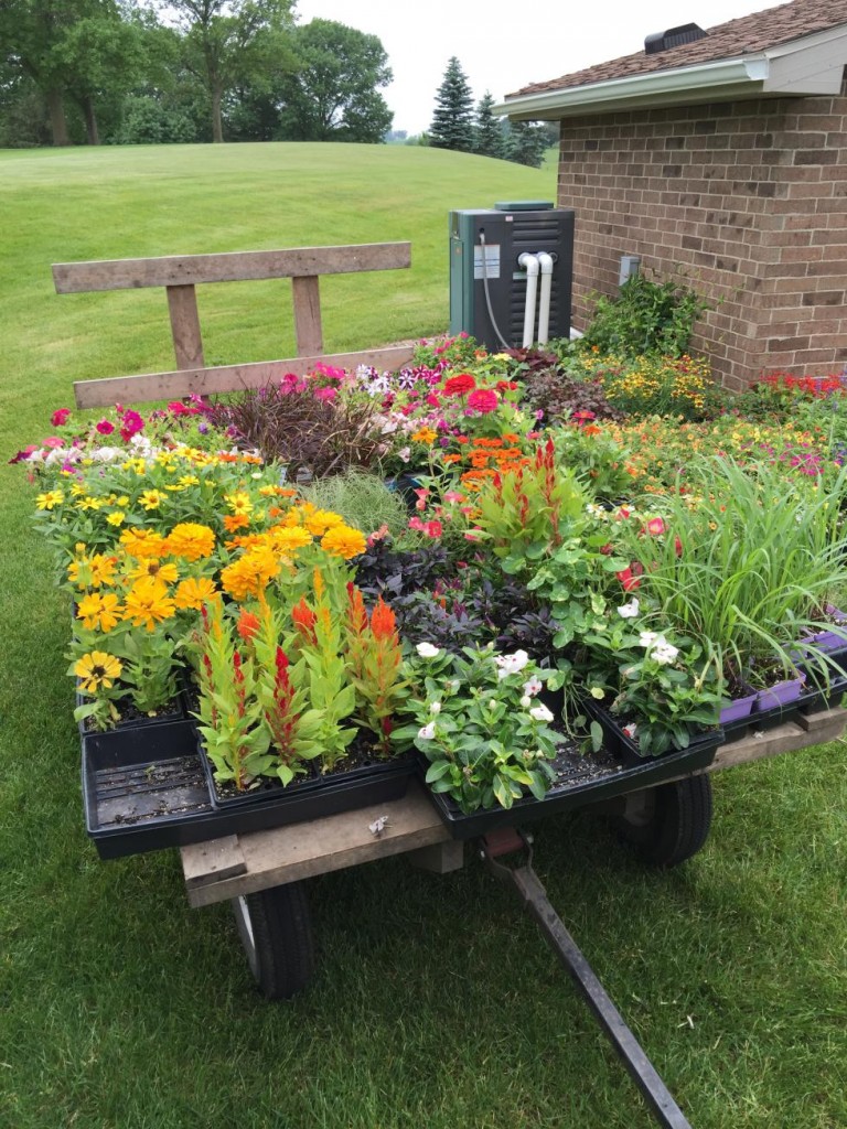 hay rack flowers