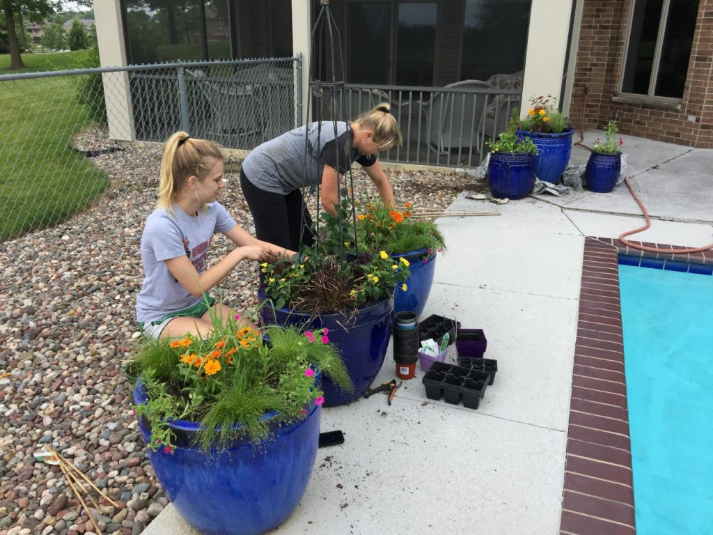 potting_flowers